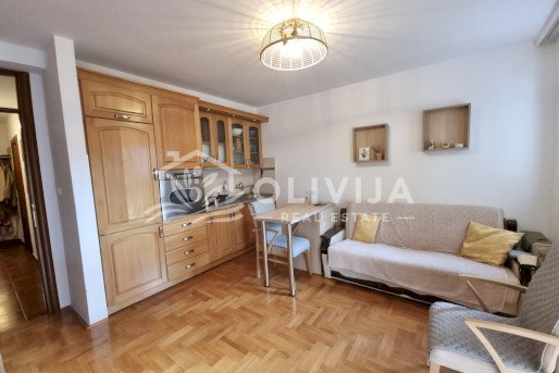 Jednosoban stan sa terasom i pogledom na planine u Bečićima