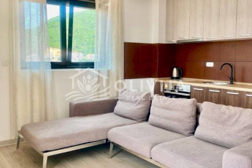 Izdavanje stana sa 1 spavaćom sobom u centru Budve