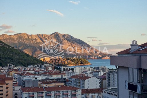 1-Bedroom Apartment for Rent in Budva, Mega Mall